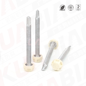 耐候性超防腐鉆尾螺絲，φ6.3-24X63mm(3號尾)